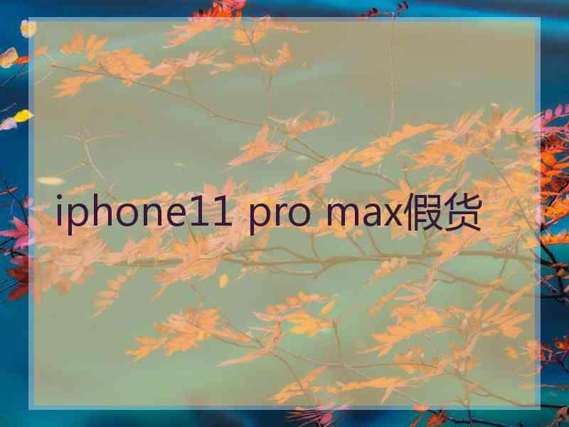 iphone11 pro max假货