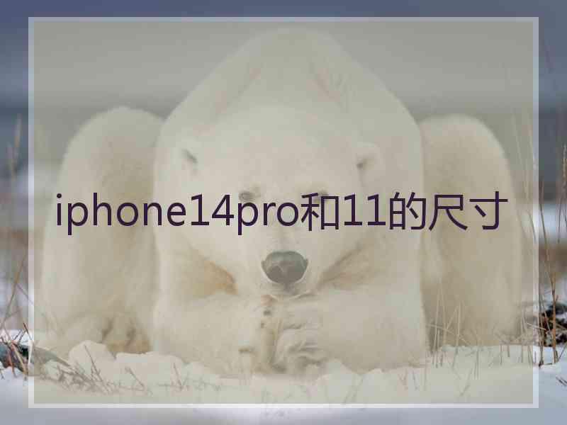 iphone14pro和11的尺寸