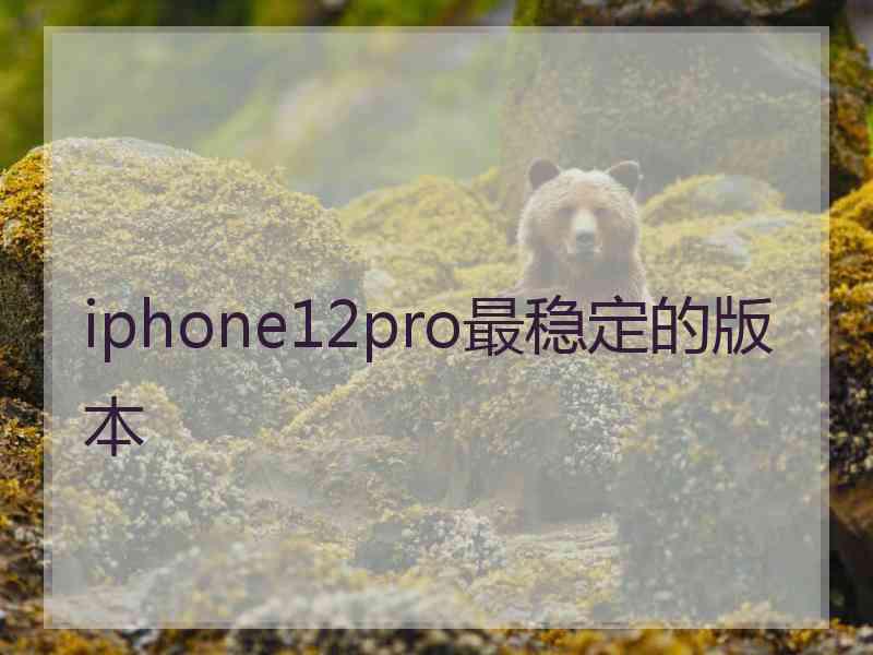 iphone12pro最稳定的版本