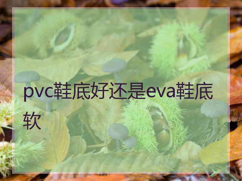 pvc鞋底好还是eva鞋底软