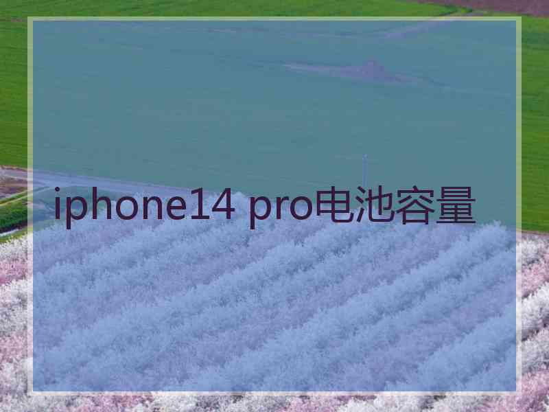 iphone14 pro电池容量