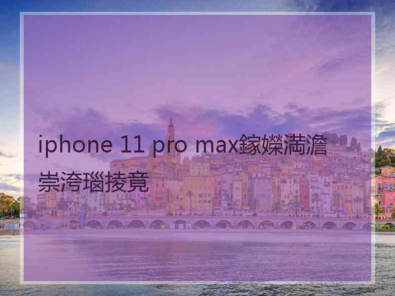 iphone 11 pro max鎵嬫満澹崇洿瑙掕竟