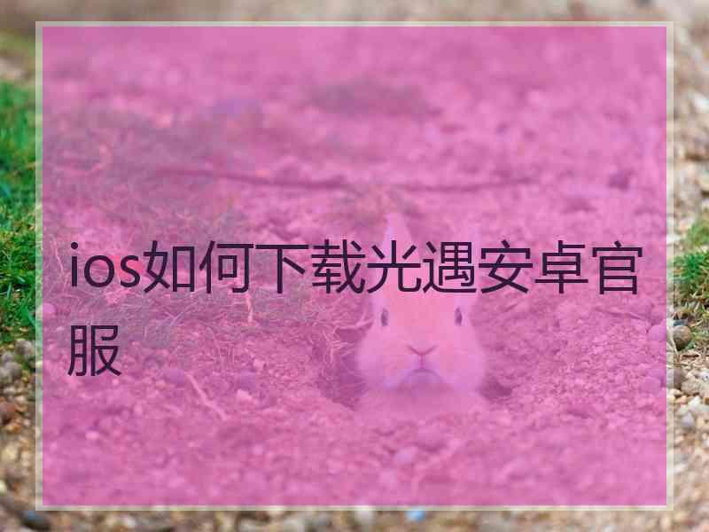 ios如何下载光遇安卓官服