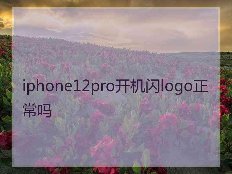 iphone12pro开机闪logo正常吗