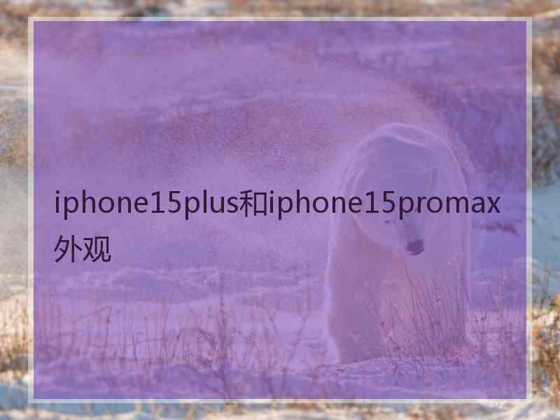 iphone15plus和iphone15promax外观