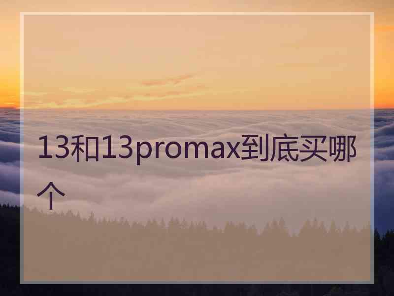 13和13promax到底买哪个