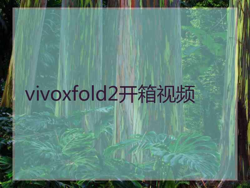 vivoxfold2开箱视频