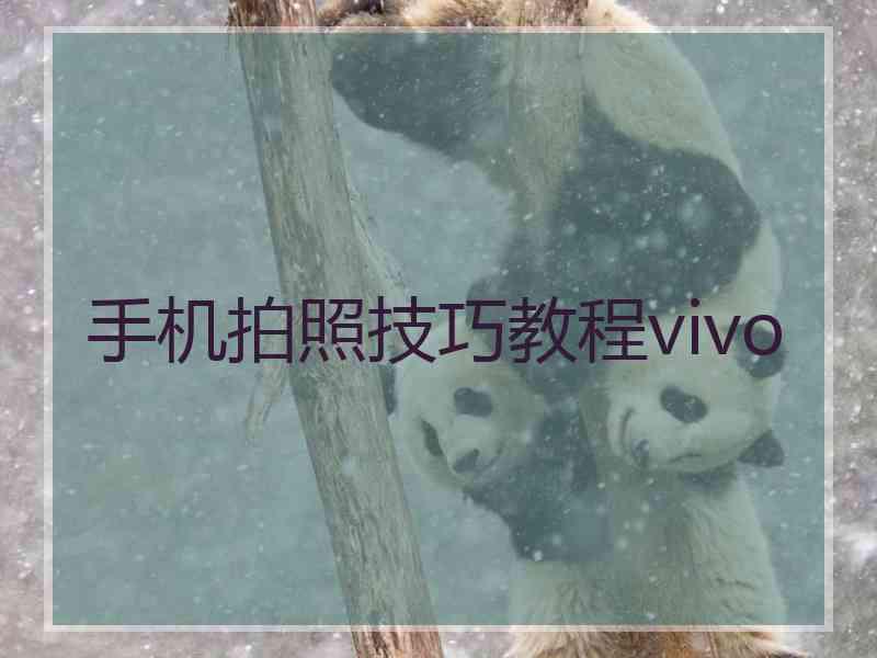 手机拍照技巧教程vivo