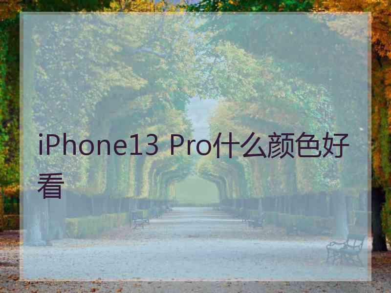 iPhone13 Pro什么颜色好看