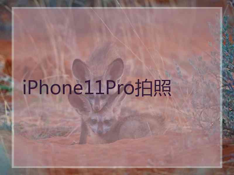 iPhone11Pro拍照