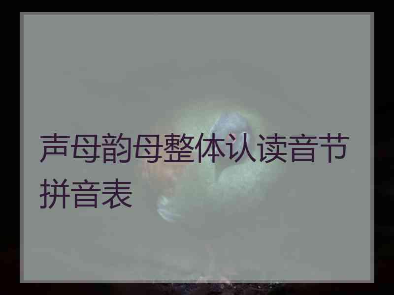 声母韵母整体认读音节拼音表