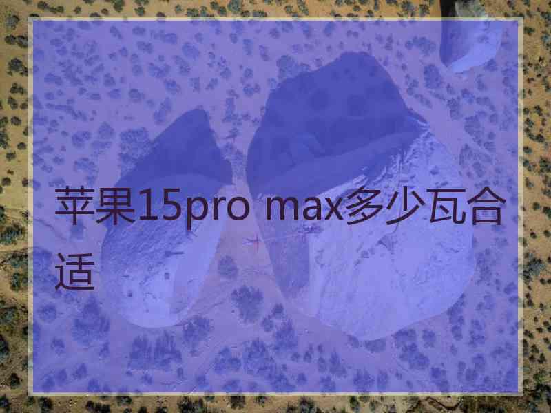 苹果15pro max多少瓦合适