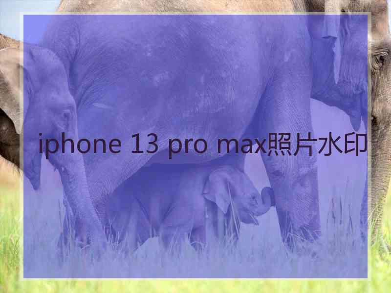 iphone 13 pro max照片水印