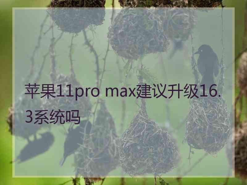 苹果11pro max建议升级16.3系统吗