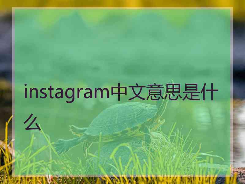 instagram中文意思是什么