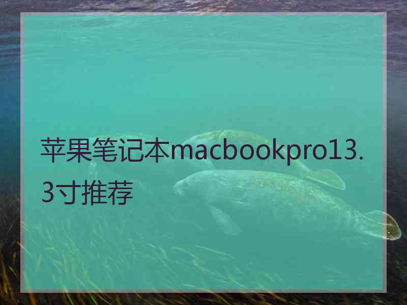 苹果笔记本macbookpro13.3寸推荐