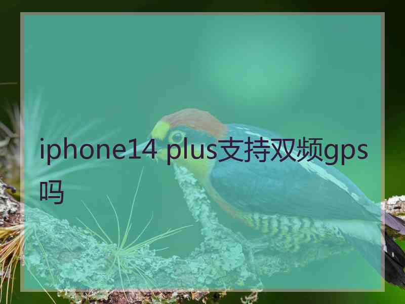 iphone14 plus支持双频gps吗