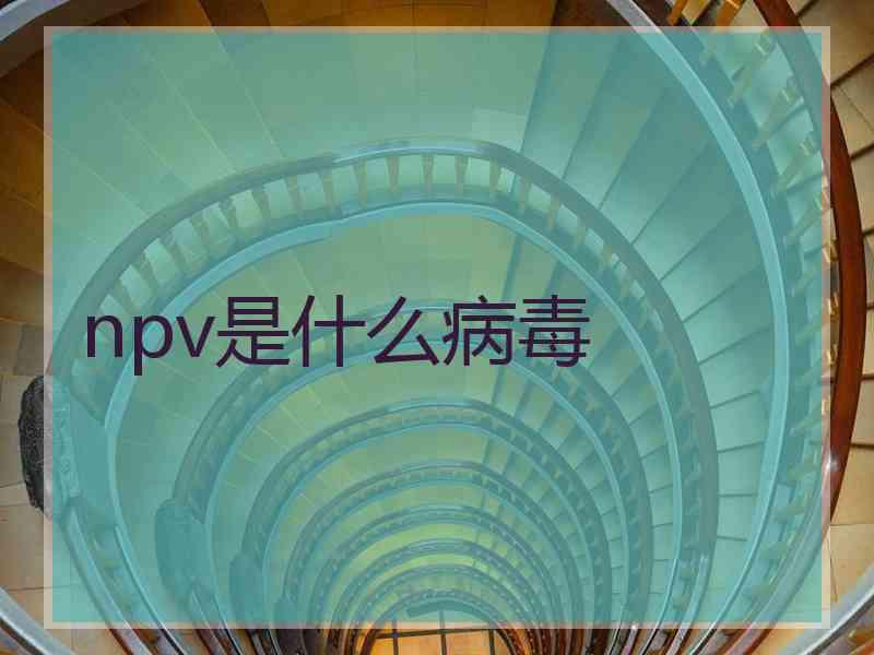 npv是什么病毒