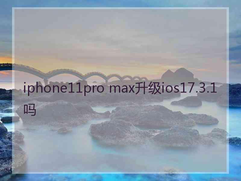 iphone11pro max升级ios17.3.1吗