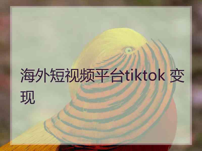 海外短视频平台tiktok 变现