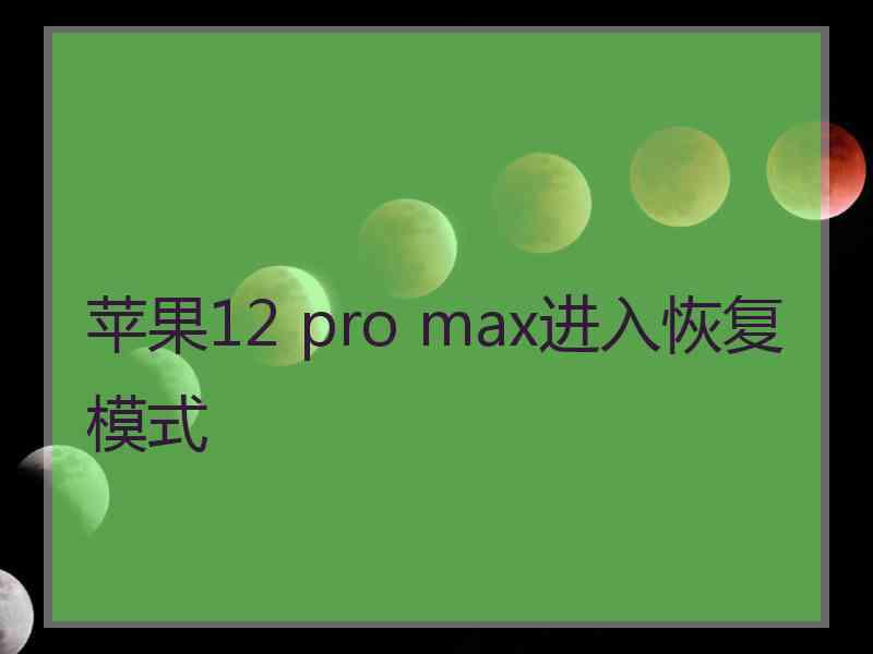 苹果12 pro max进入恢复模式