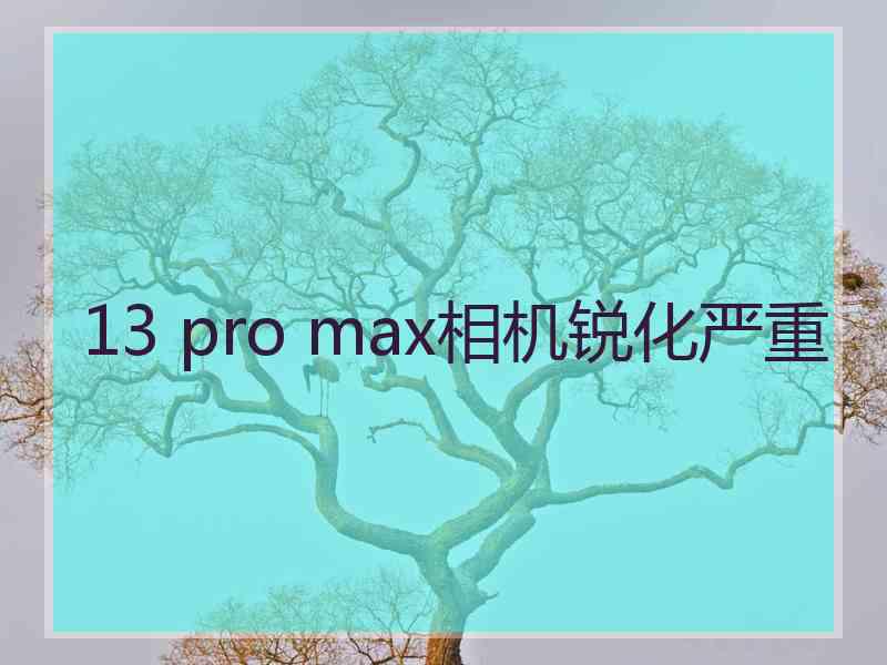 13 pro max相机锐化严重