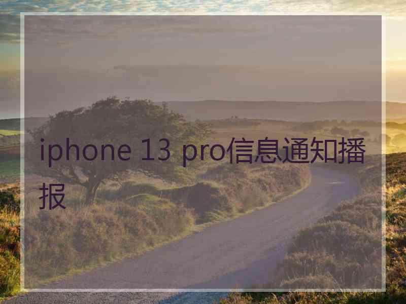 iphone 13 pro信息通知播报