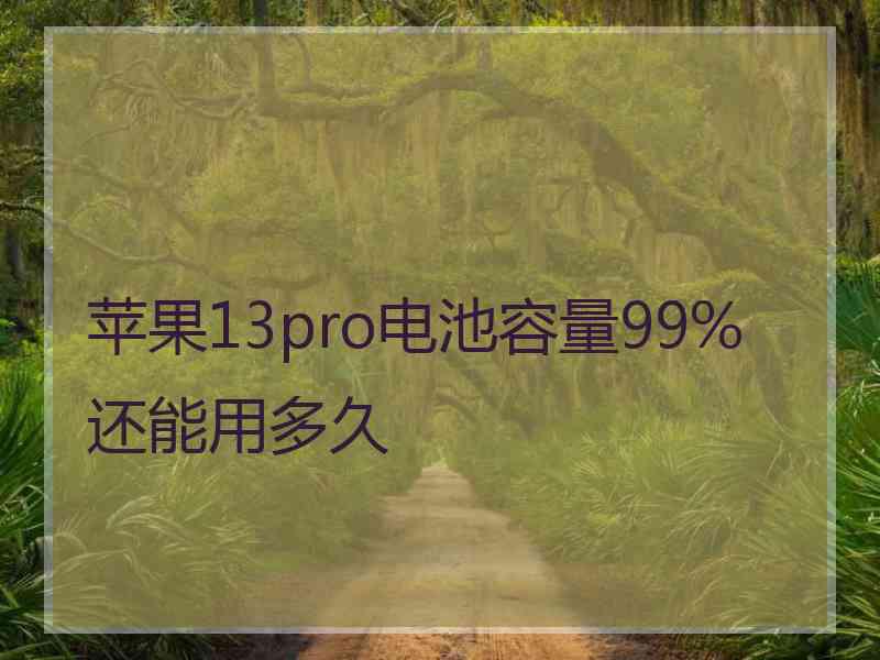 苹果13pro电池容量99%还能用多久