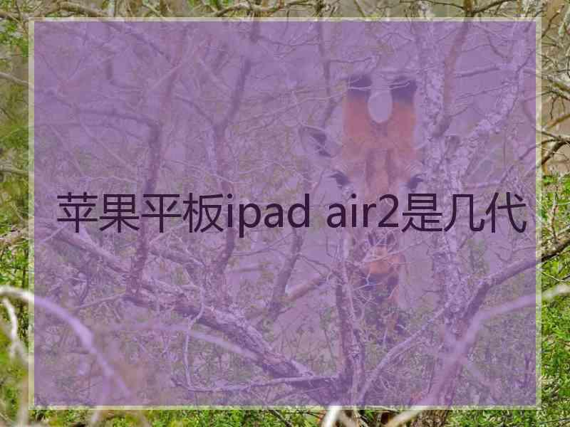 苹果平板ipad air2是几代