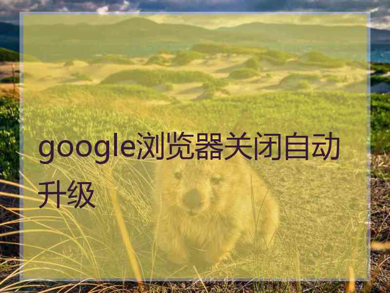 google浏览器关闭自动升级