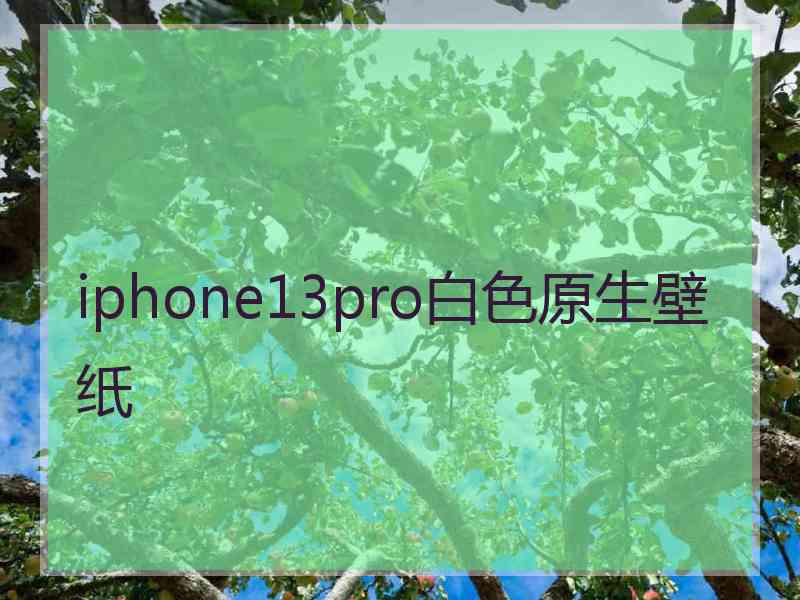 iphone13pro白色原生壁纸