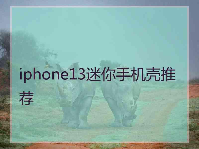 iphone13迷你手机壳推荐