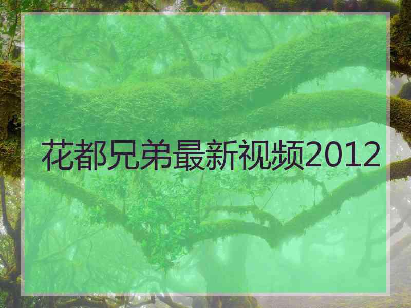 花都兄弟最新视频2012