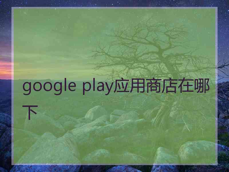 google play应用商店在哪下