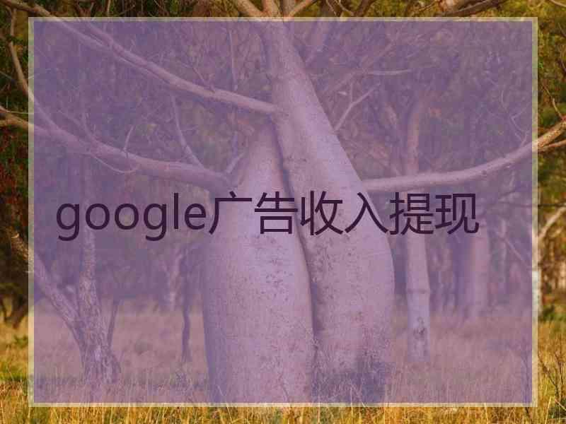 google广告收入提现