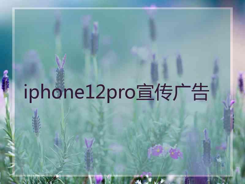 iphone12pro宣传广告