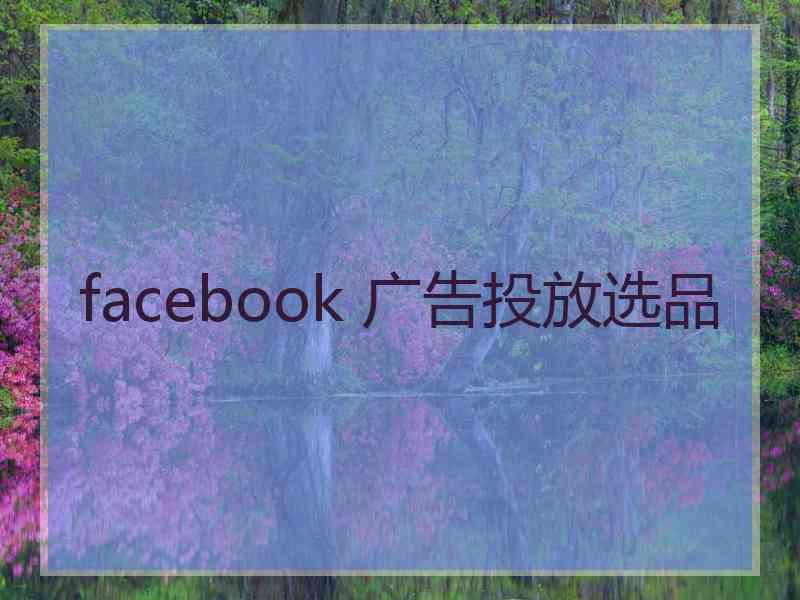 facebook 广告投放选品