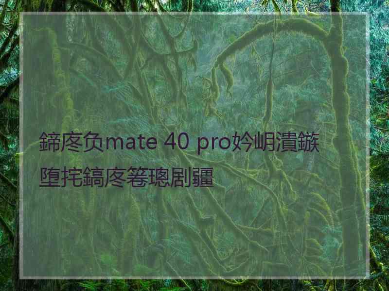 鍗庝负mate 40 pro妗岄潰鏃堕挓鎬庝箞璁剧疆