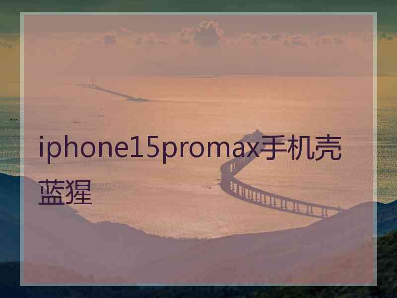 iphone15promax手机壳蓝猩