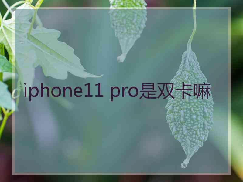 iphone11 pro是双卡嘛