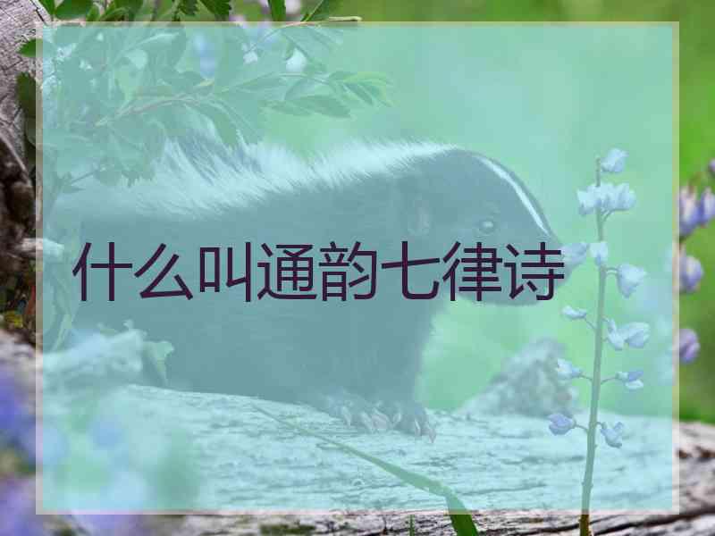 什么叫通韵七律诗