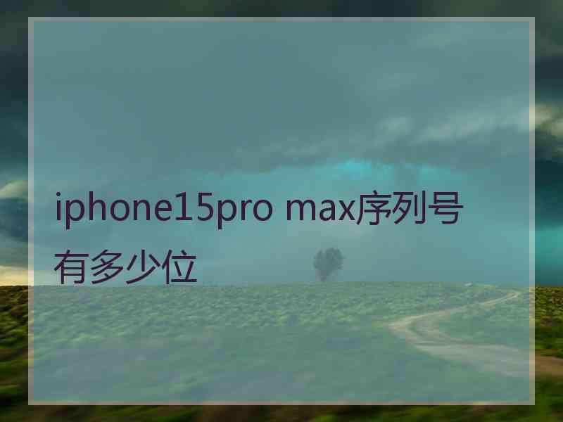 iphone15pro max序列号有多少位