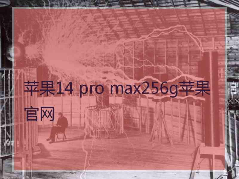 苹果14 pro max256g苹果官网