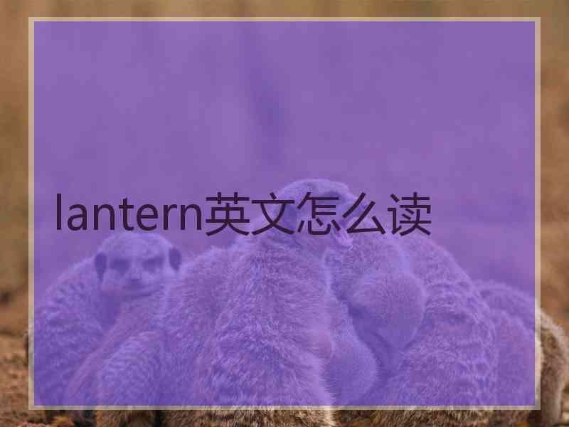 lantern英文怎么读