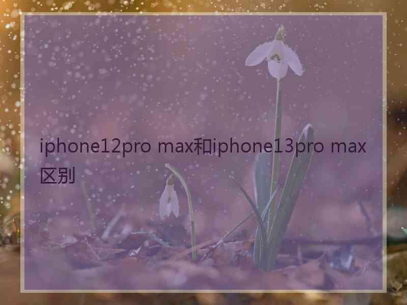 iphone12pro max和iphone13pro max区别