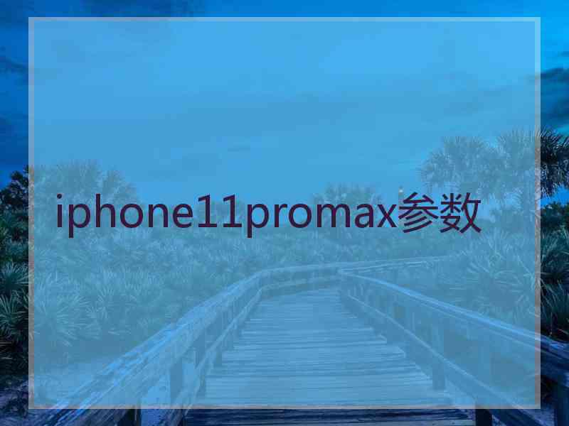 iphone11promax参数