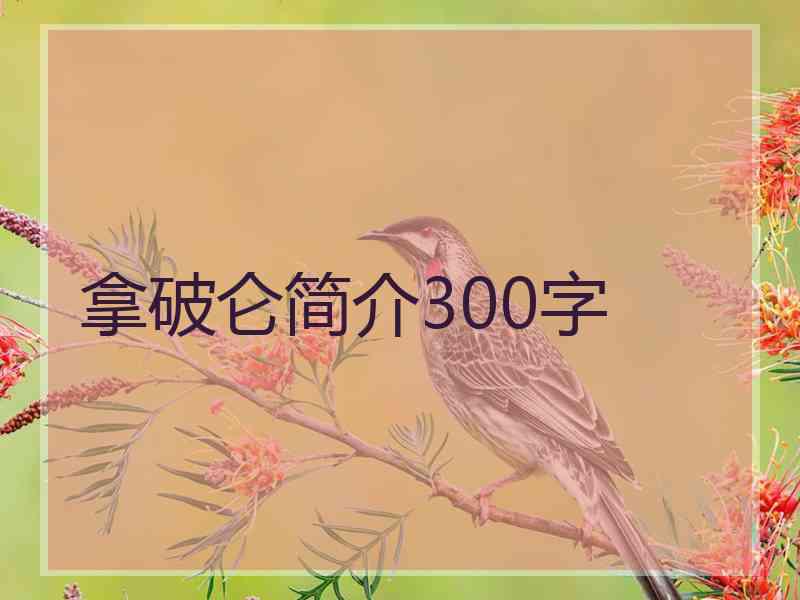 拿破仑简介300字