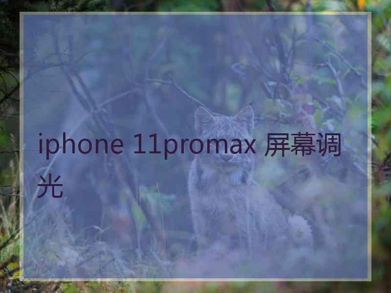 iphone 11promax 屏幕调光