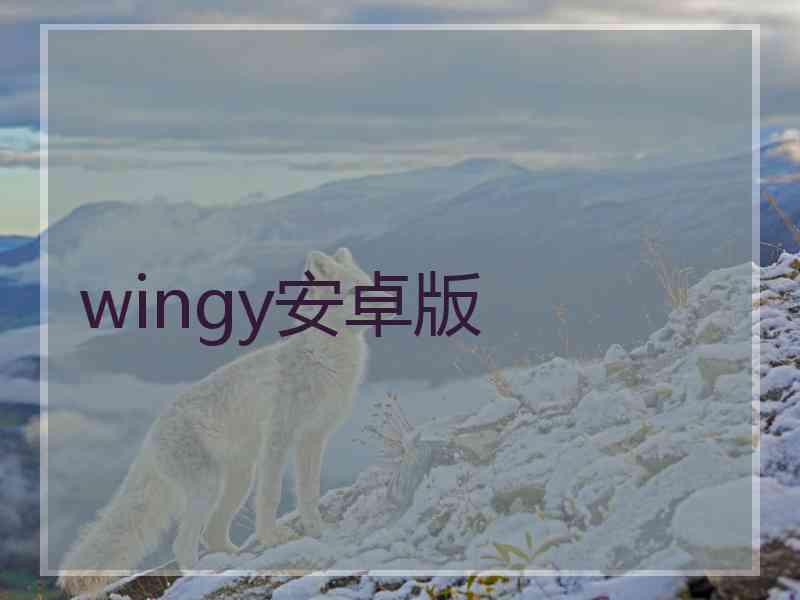 wingy安卓版