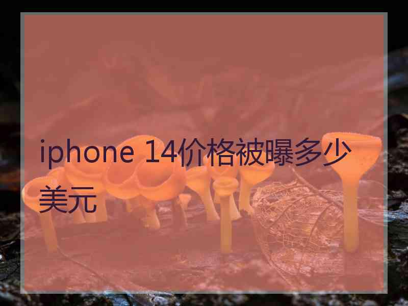 iphone 14价格被曝多少美元